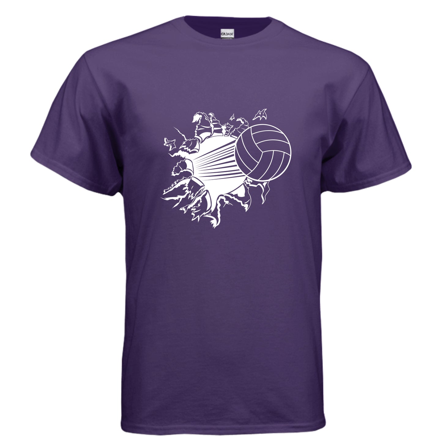 PURPLE - FRONT